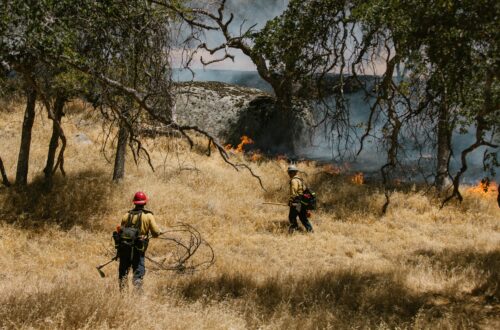 Fire Safety for Arizona homeowners by Jennifer Marie Quinn, Realtor and Agent.